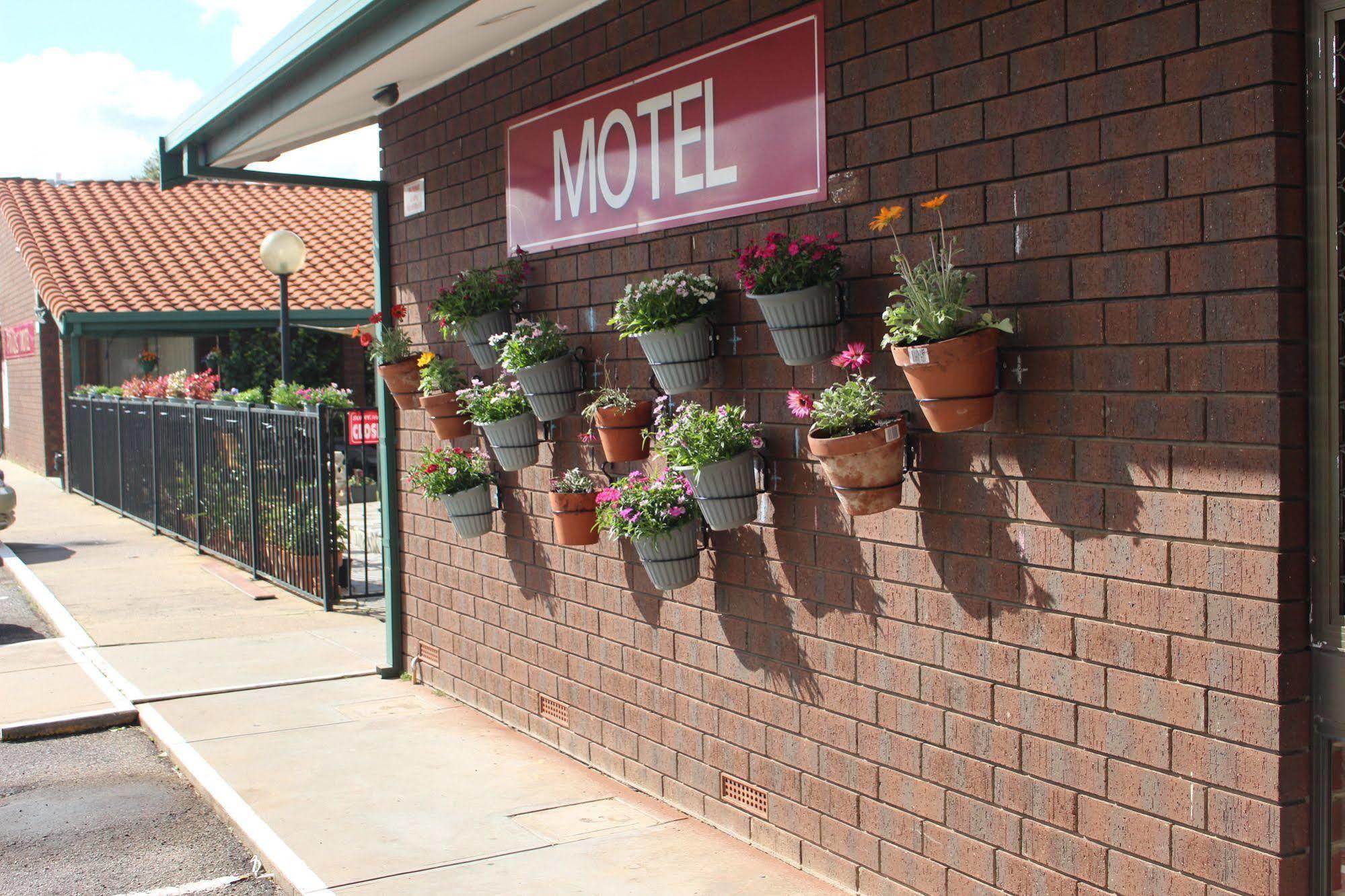 Pavlos Motel Ingle Farm